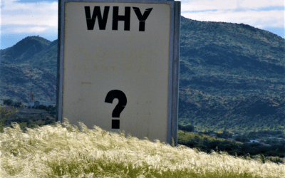 A Concern for All Good Leaders: The End of ‘Why?’